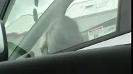 Страпон молодий порн ...