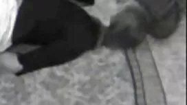Вона дала йому покри ...