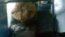 Морган і його скачат ...